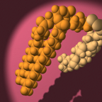 DPPC_Chol_heterodimer_2 copy